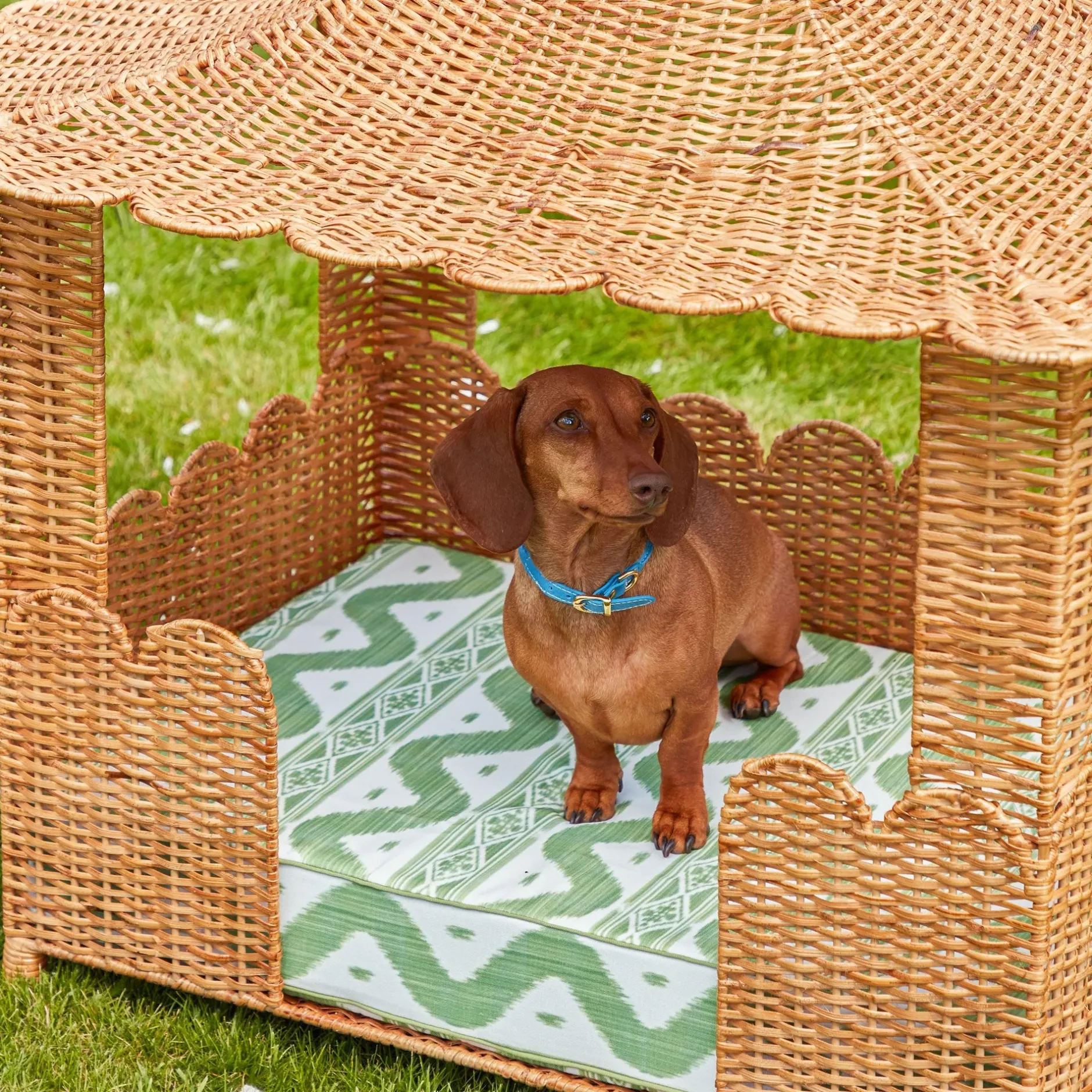 Sale Mrs. Alice Dorothy Pagoda Dog Bed