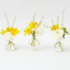 Online Mrs. Alice Grace Bud Vase Set
