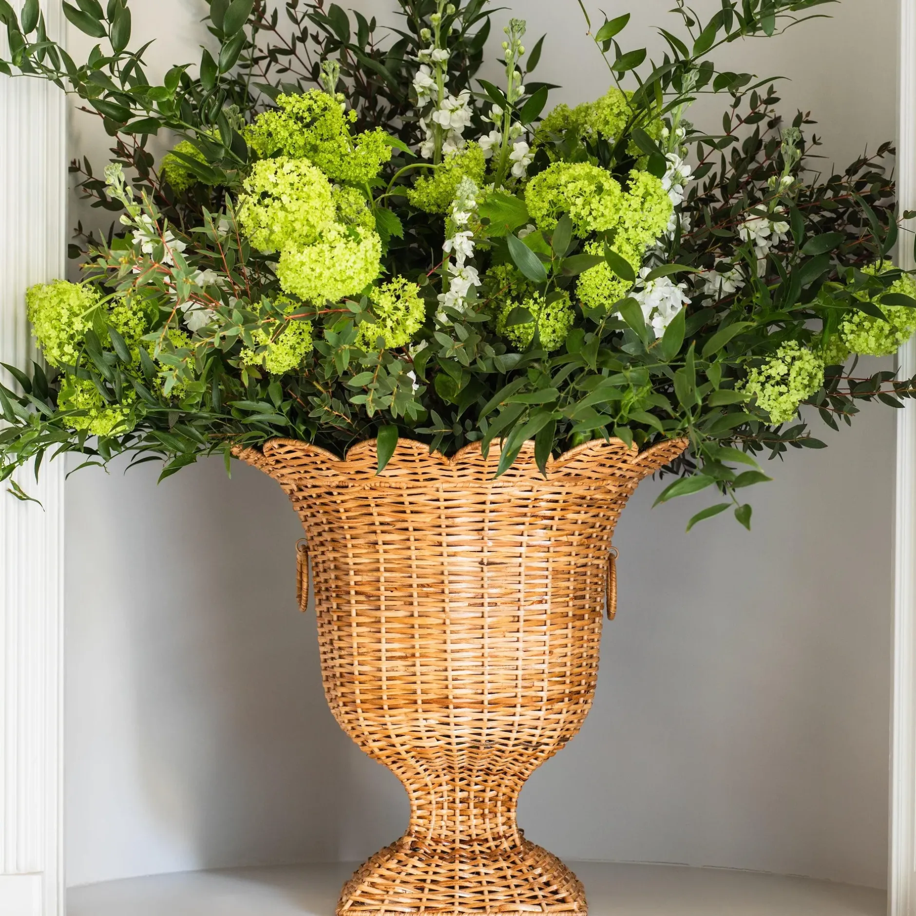 Best Mrs. Alice Liliana Scalloped Rattan Urn