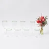 Clearance Mrs. Alice Olive Rim Swirl Glassware Set