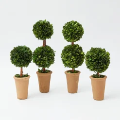 Discount Mrs. Alice Passalacqua Decoration Set