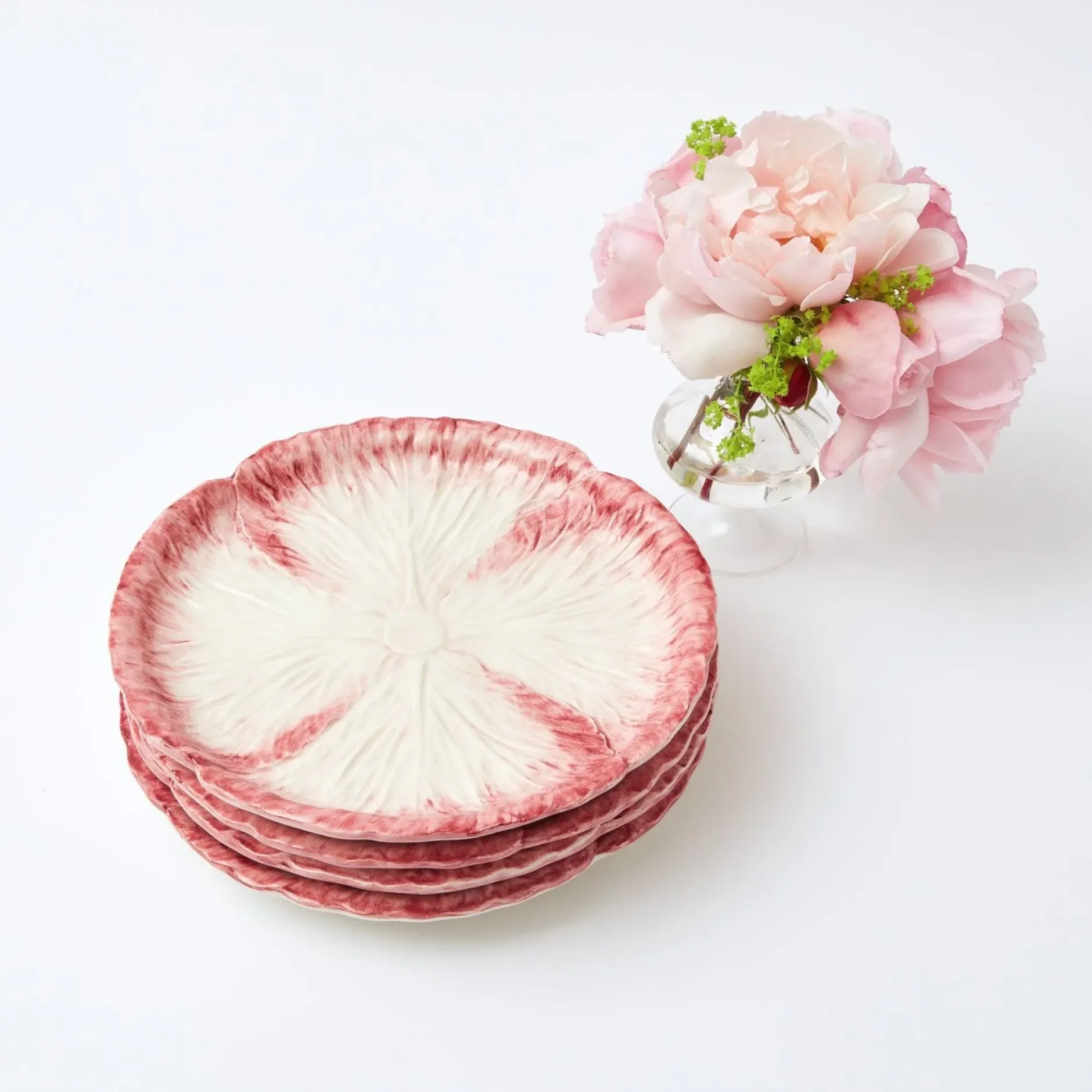 Clearance Mrs. Alice Pink Capri Lettuce Starter Plate (Set Of 4)