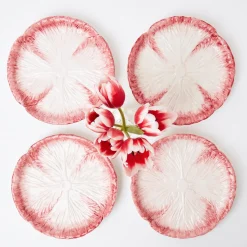 Clearance Mrs. Alice Pink Capri Lettuce Starter Plate (Set Of 4)