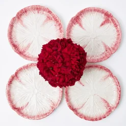 Outlet Mrs. Alice Pink Capri Lettuce Starter Plate (Set Of 4)
