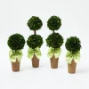 Best Mrs. Alice Potted Boxwood With Green Bow Decoration Set