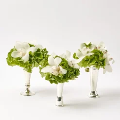 Hot Mrs. Alice Scalloped Mint Julep Vase (Set Of 3)