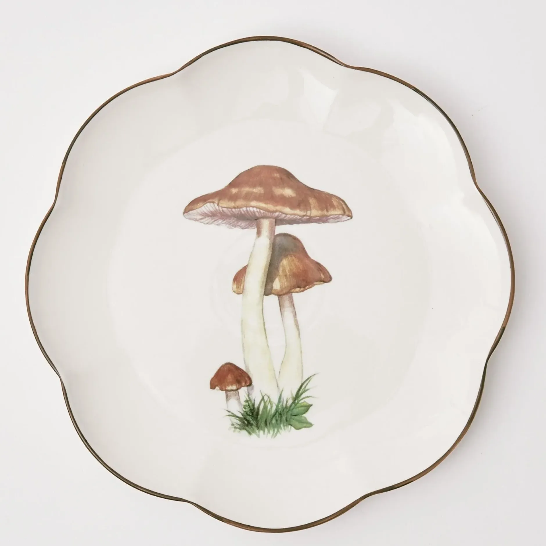 Mrs. Alice Scalloped Mushroom Dinner Plate (Set Of 4)
