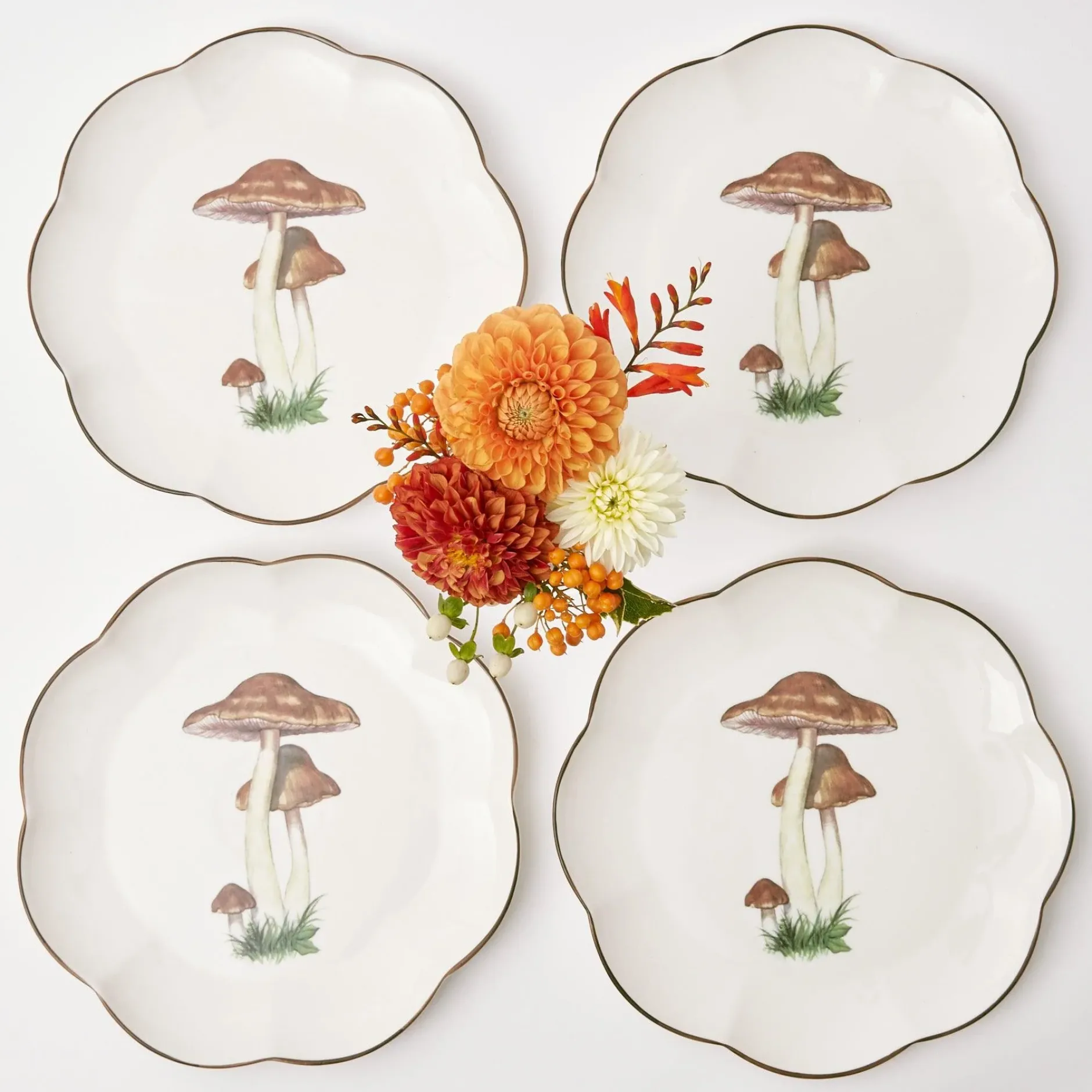 Hot Mrs. Alice Scalloped Mushroom Dinner Plate (Set Of 4)