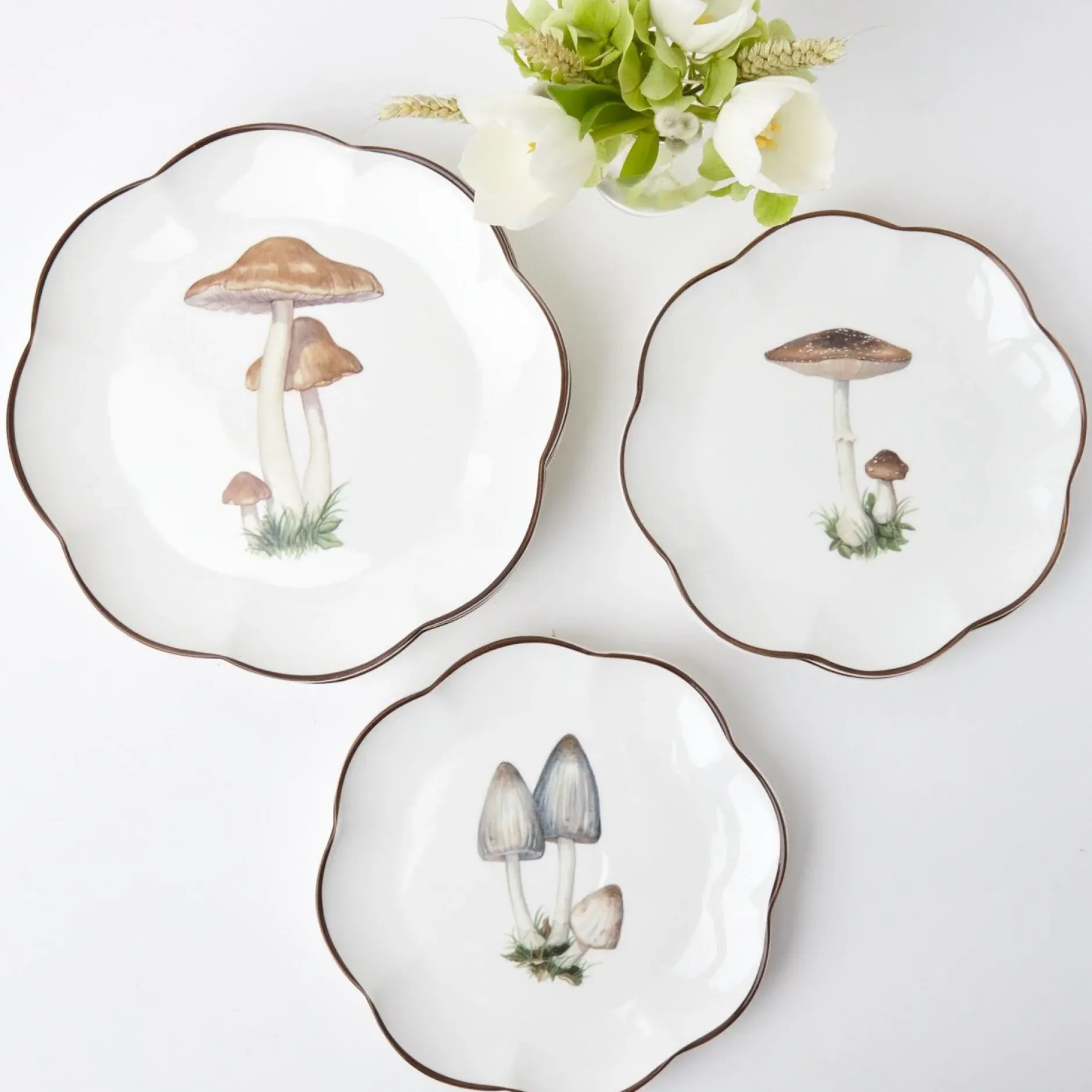 Hot Mrs. Alice Scalloped Mushroom Dinner Plate (Set Of 4)