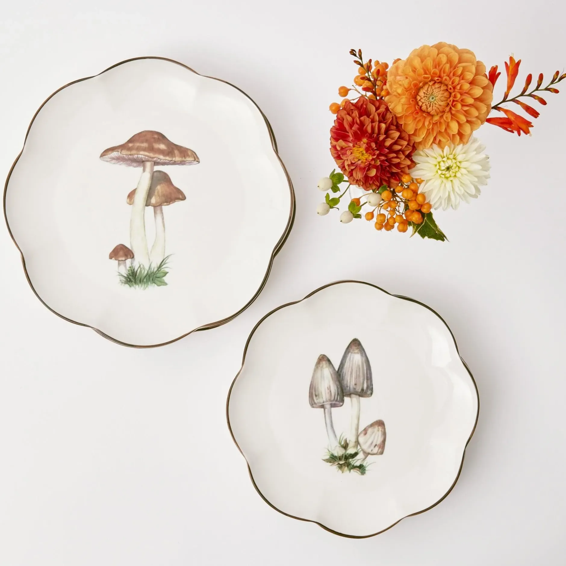 Online Mrs. Alice Scalloped Mushroom Starter Plate (Grey)